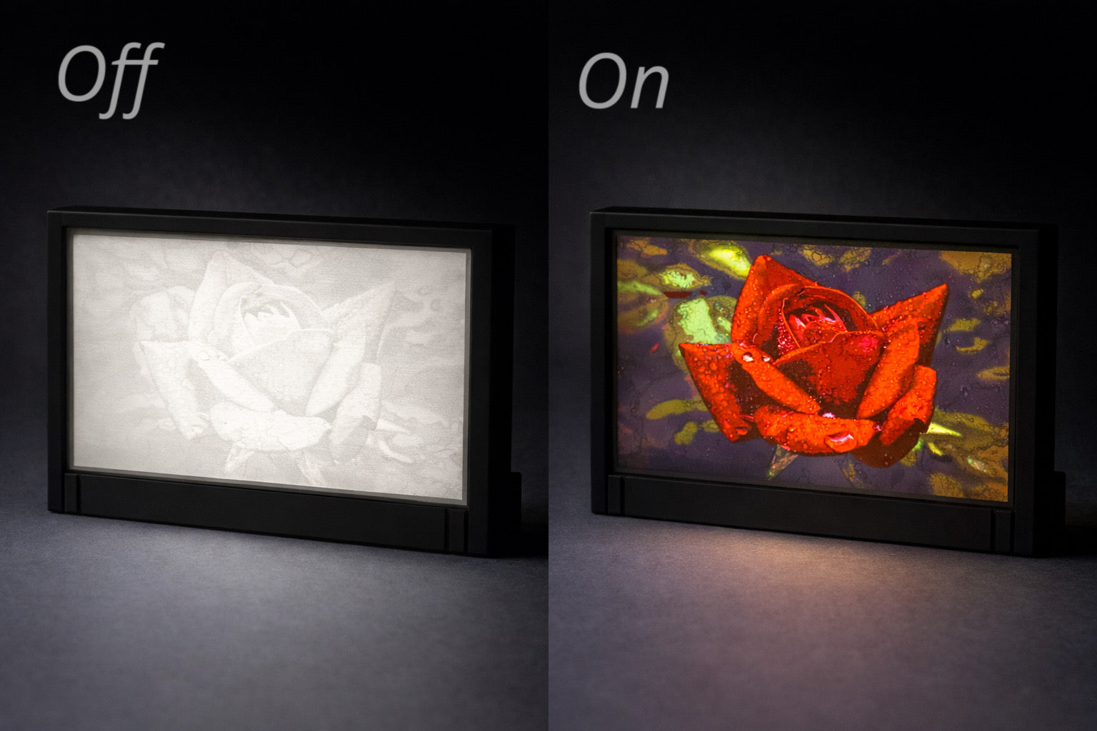 Red Raindrop Rose - Illuminated Display
