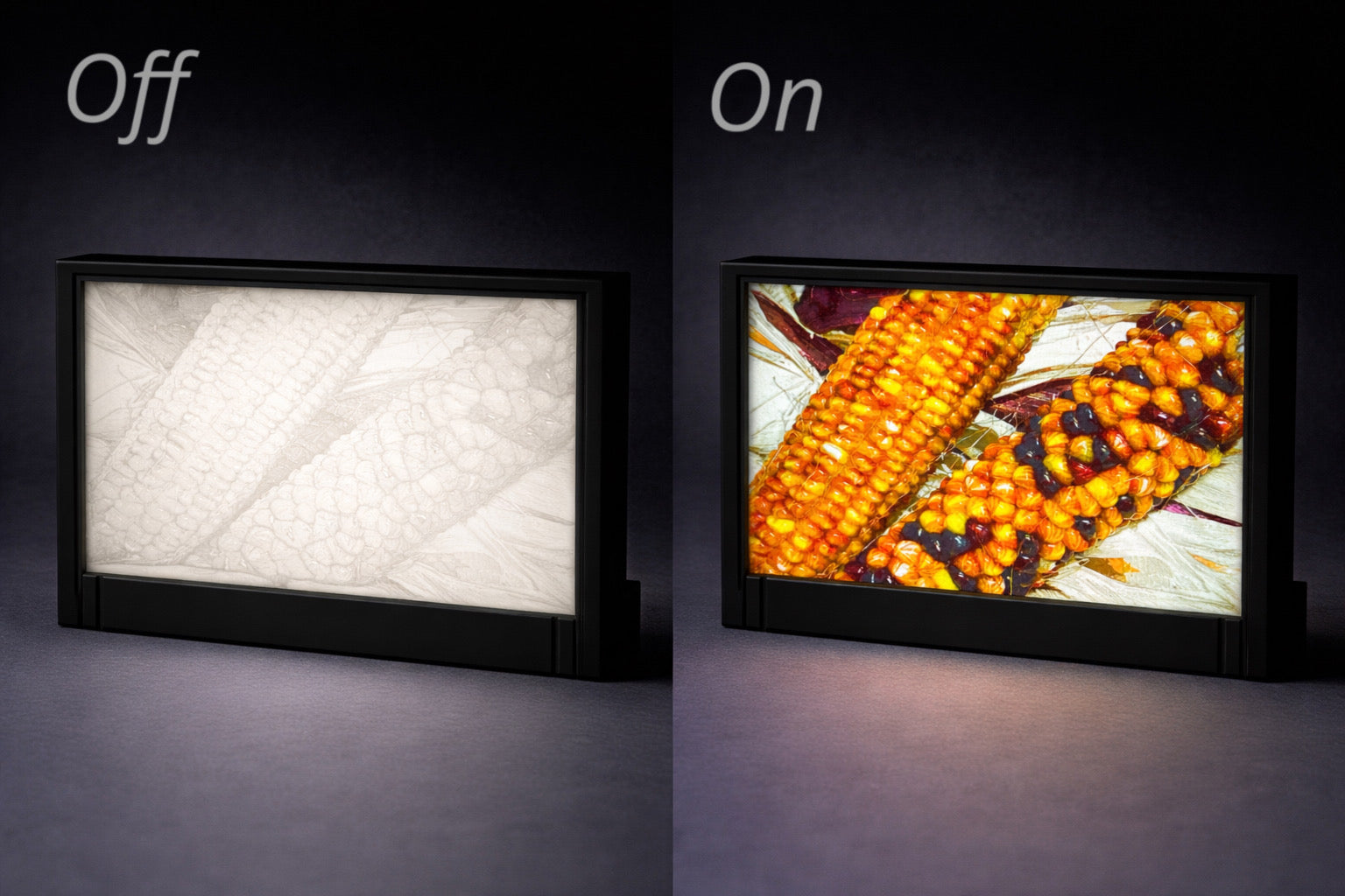 Vibrant Indian Corn Close-Up - Illuminated Display