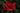 Red Raindrop Rose - Illuminated Display