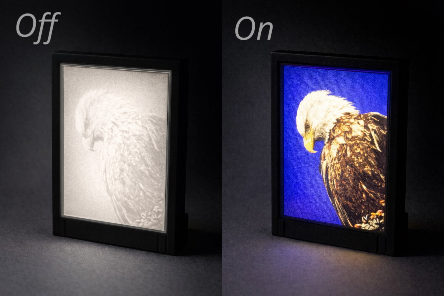 Checking Everything Out - Illuminated Display