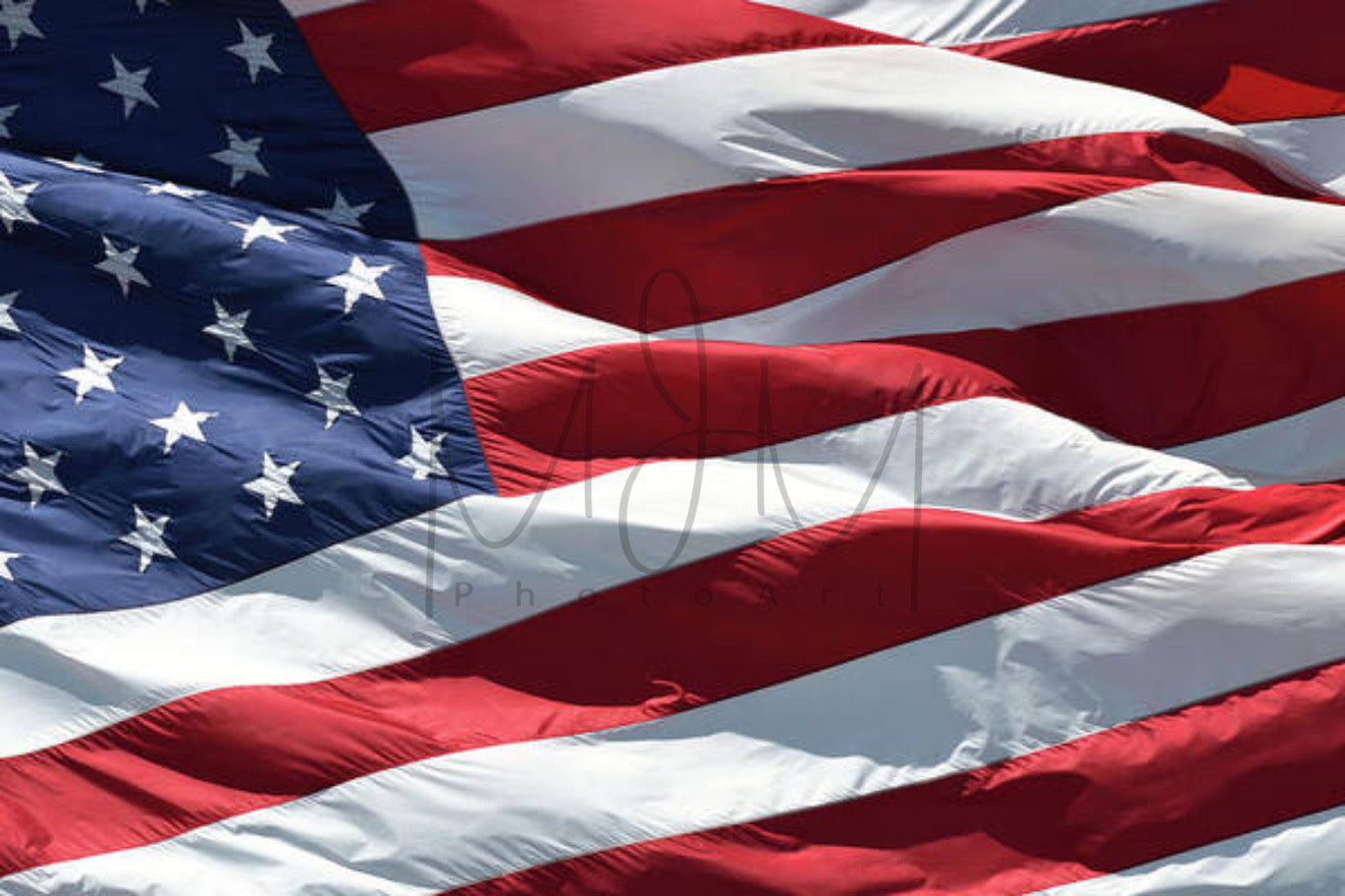Stars and Stripes Forever - Illuminated Display