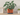 Aesthetic Plant Pot Modern Planter with Drip Tray