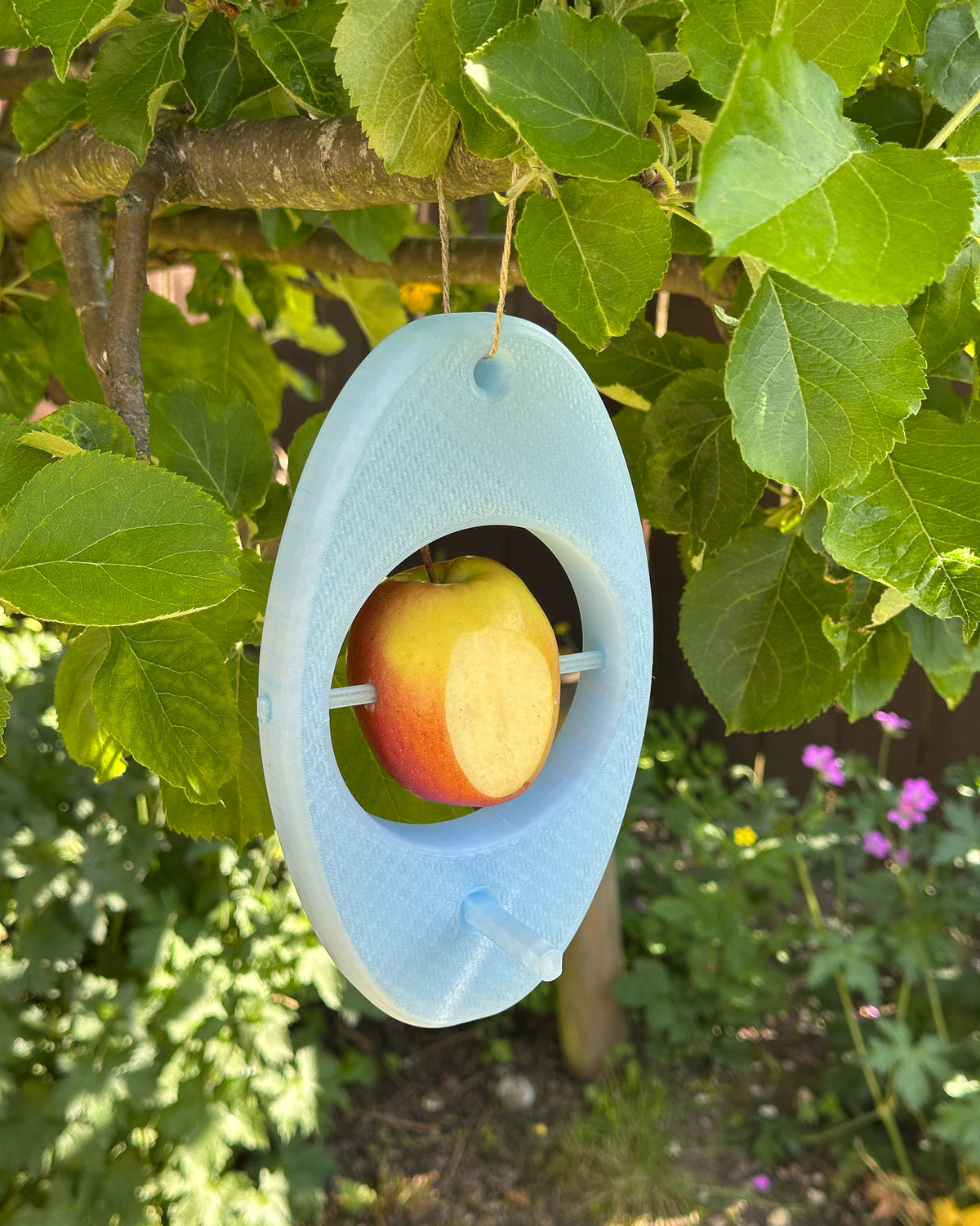 Apple Bird Feeder