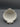 Baroque Shell Jewelry Dish Ornate Vanity Organizer
