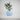Beautiful Modern Plant Pot for House Plants – Large size (180mm)