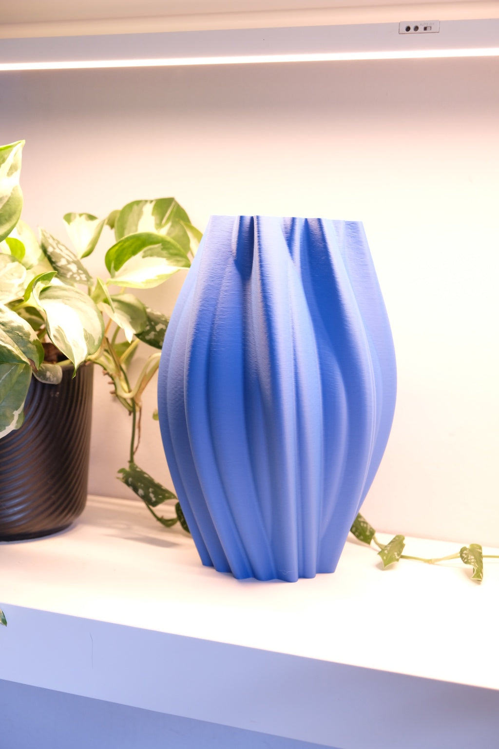 Beautiful Organic Vase