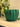 Beautiful Plant Pot Two Part with Drip Tray