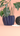 Beautiful Plant Pot Two Part with Drip Tray