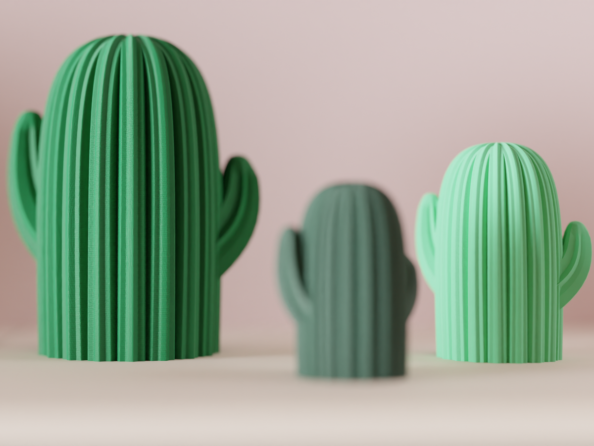 Cactus Ornament – Large size