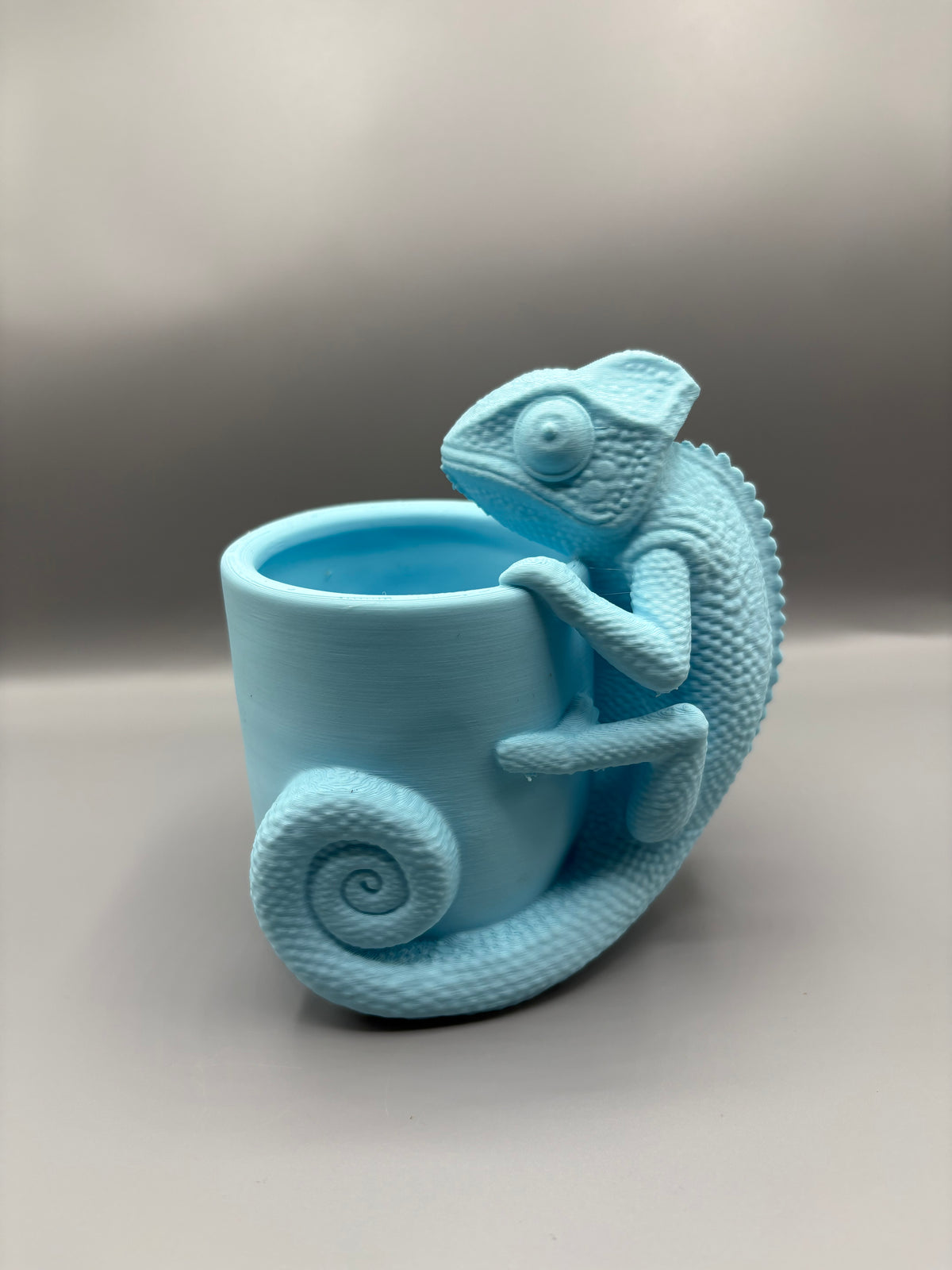 Chameleon Desk Organizer, Vase & Stationary Holder