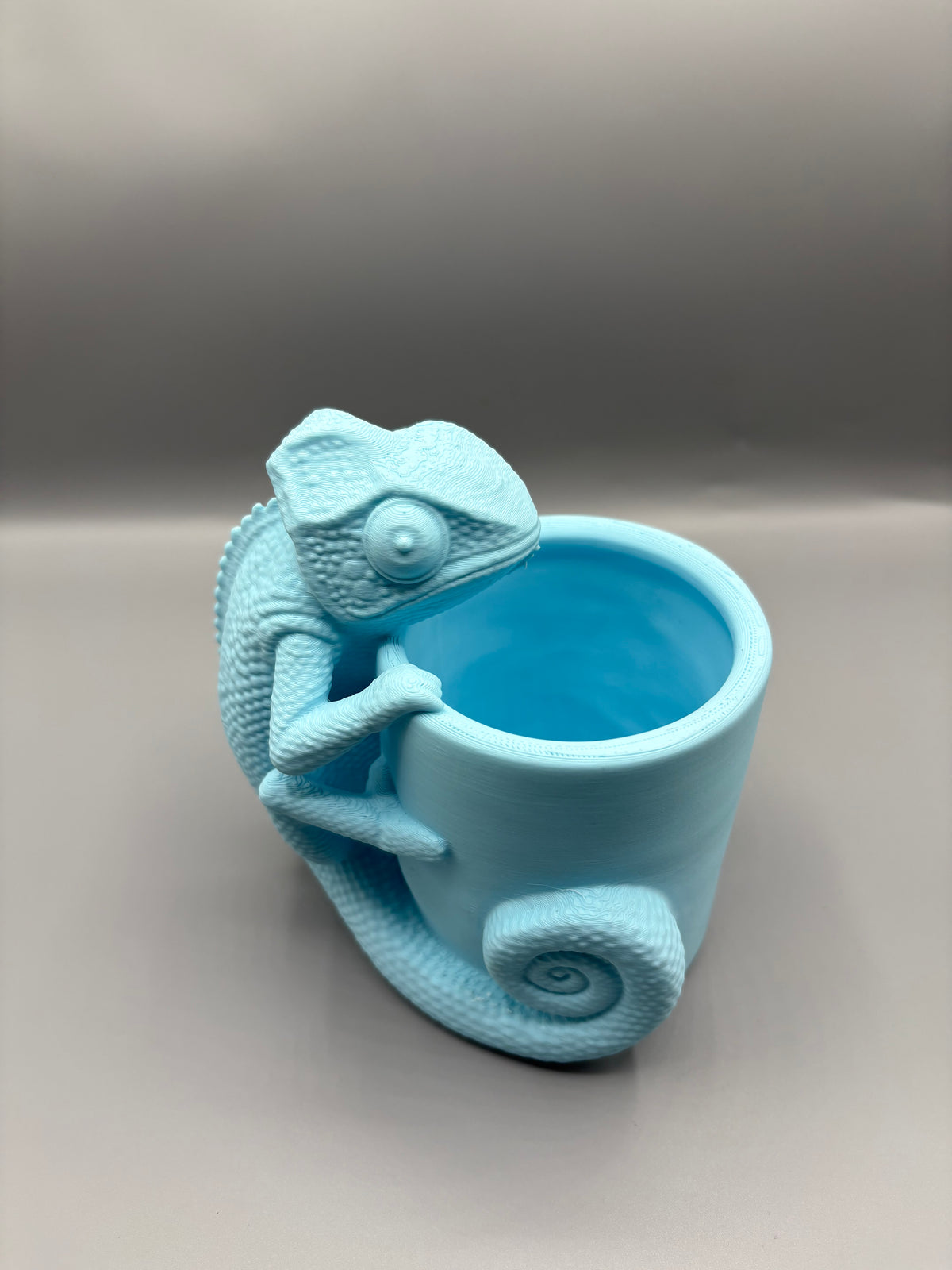 Chameleon Desk Organizer, Vase & Stationary Holder