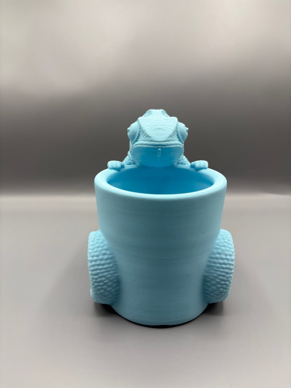 Chameleon Desk Organizer, Vase & Stationary Holder