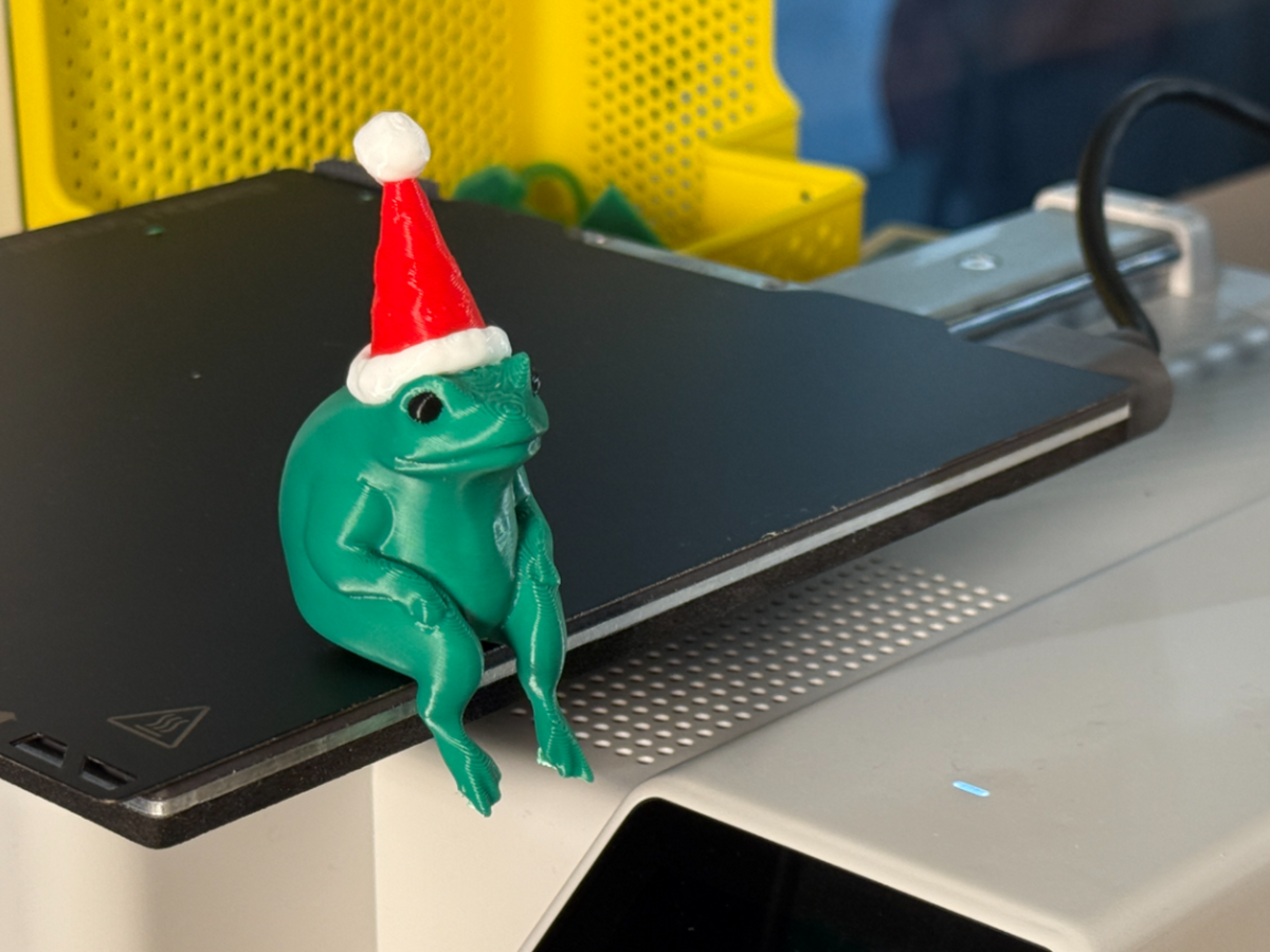Christmas Frog with Santa Hat