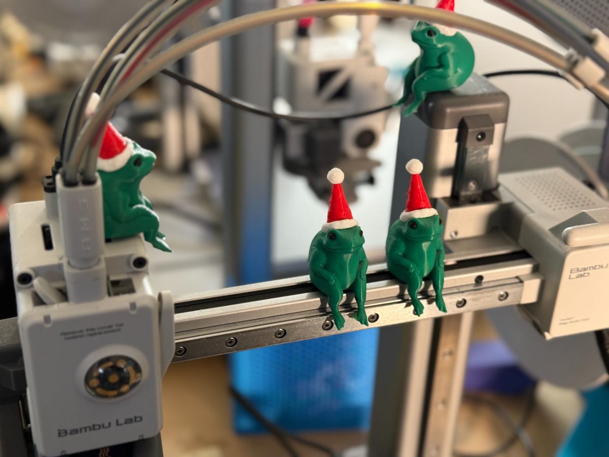Christmas Frog with Santa Hat