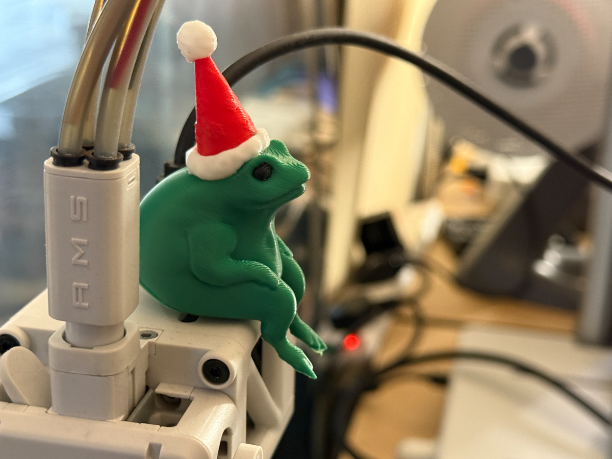 Christmas Frog with Santa Hat