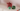 Christmas Holly Themed Plant Pot – Small size