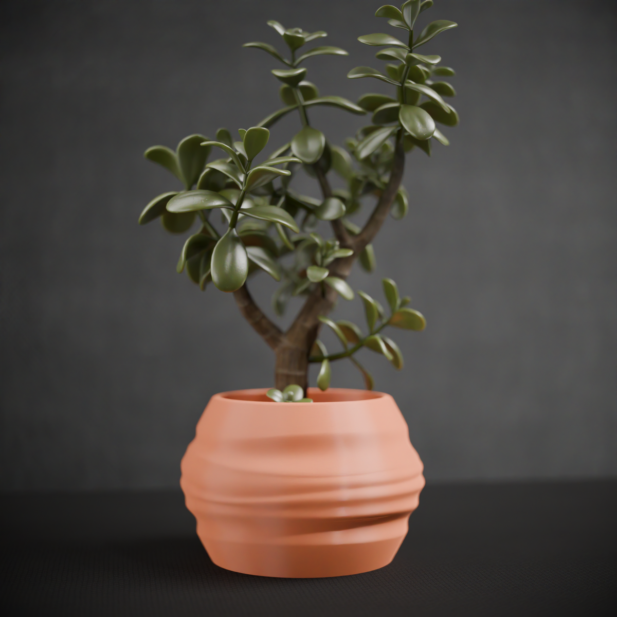Clay Look Planter