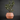 Clay Look Planter