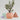 Clay Look Planter