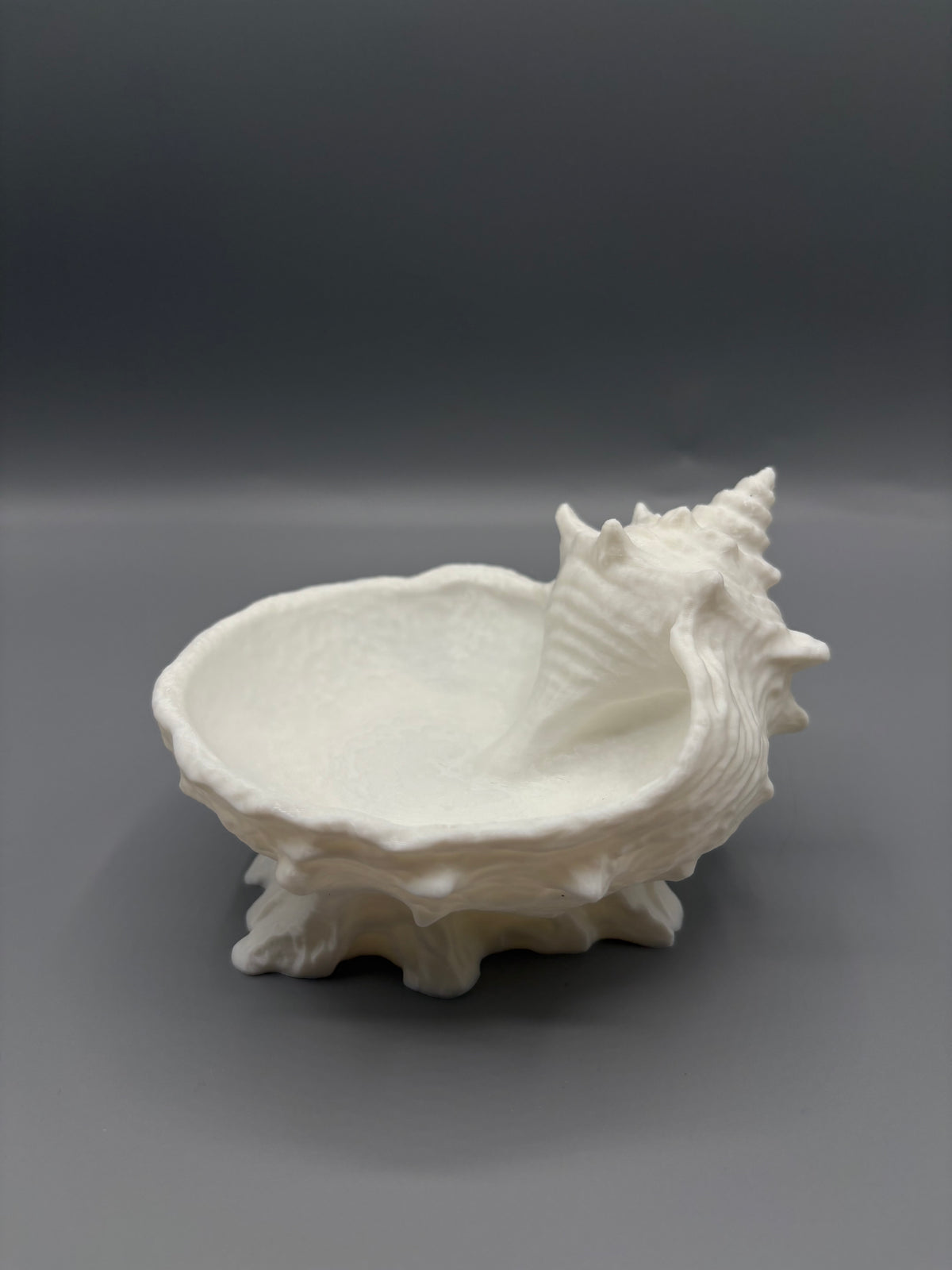 Coastal Conch Shell Catch All Bowl