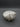 Coastal Conch Shell Catch All Bowl