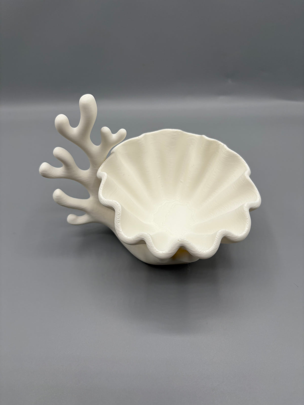 Coastal Coral & Clam Shell Succulent Planter
