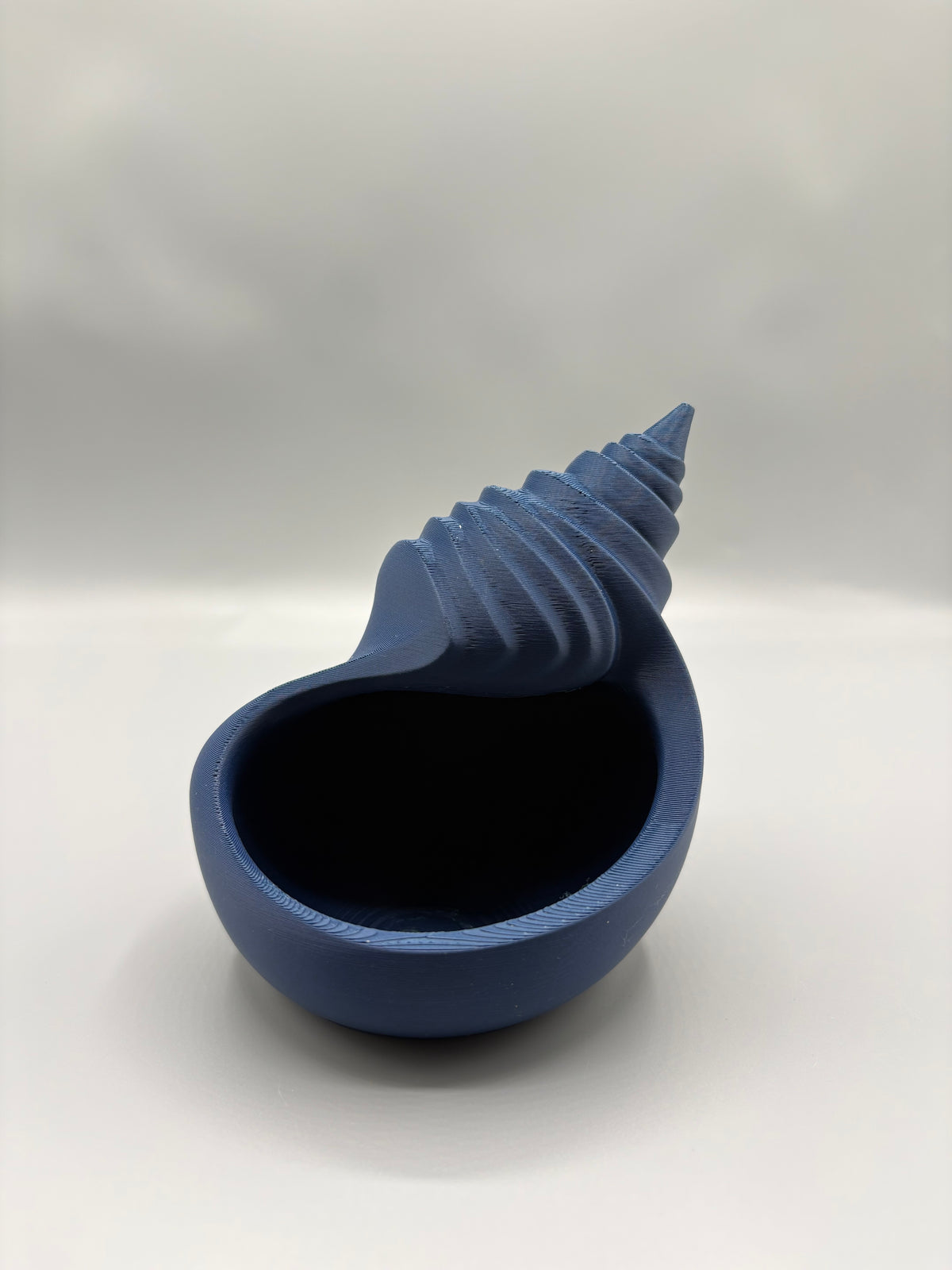 Coastal Seashell Catch-All Tray Key Bowl