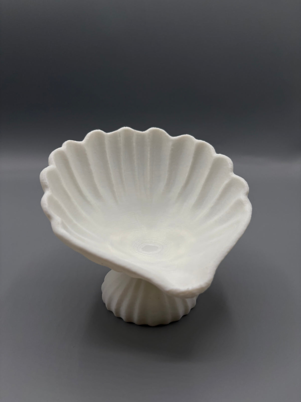 Coastal Seashell Jewelry Bowl Elegant CatchAll