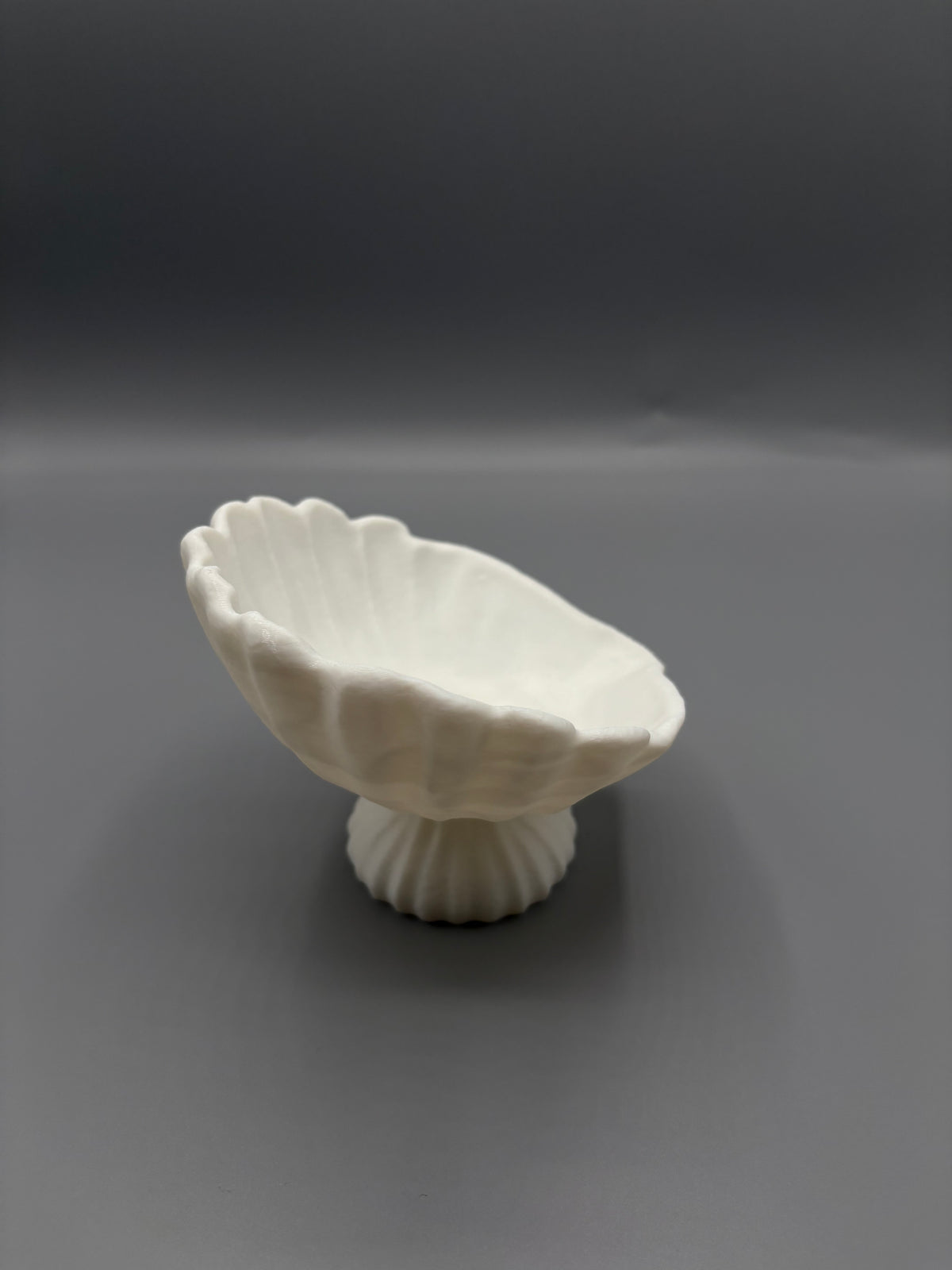 Coastal Seashell Jewelry Bowl Elegant CatchAll