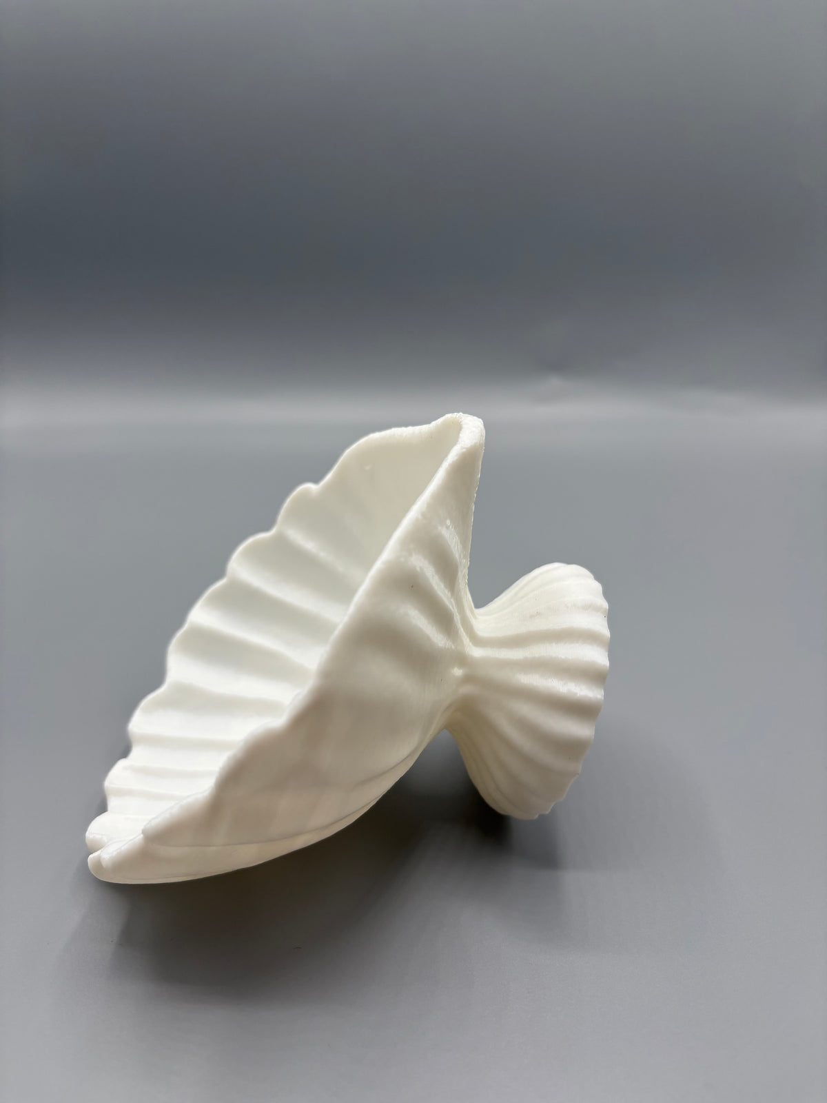 Coastal Seashell Jewelry Bowl Elegant CatchAll