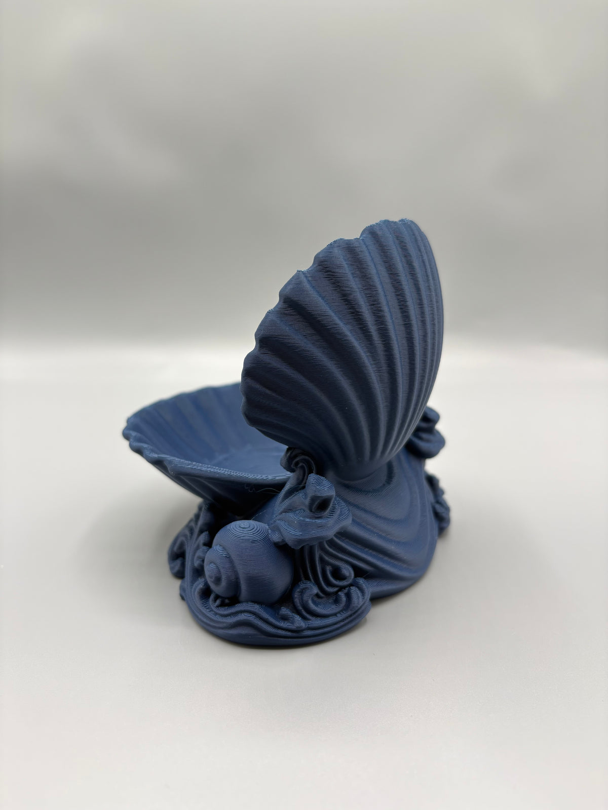Coastal Seashell Jewelry Dish with Ornate Base