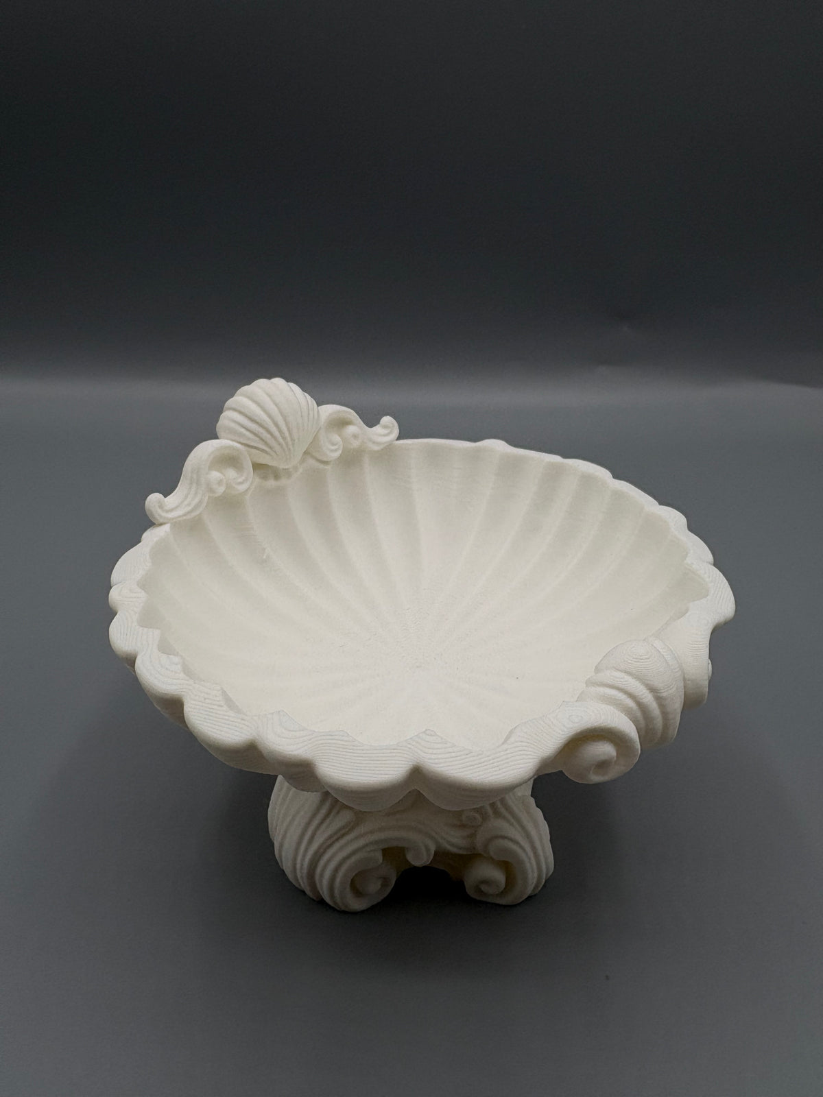 Coastal Shell Jewelry Dish