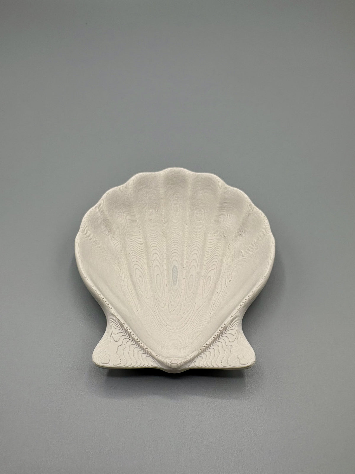Coastal Shell Jewelry Tray Dish for Rings Bracelet