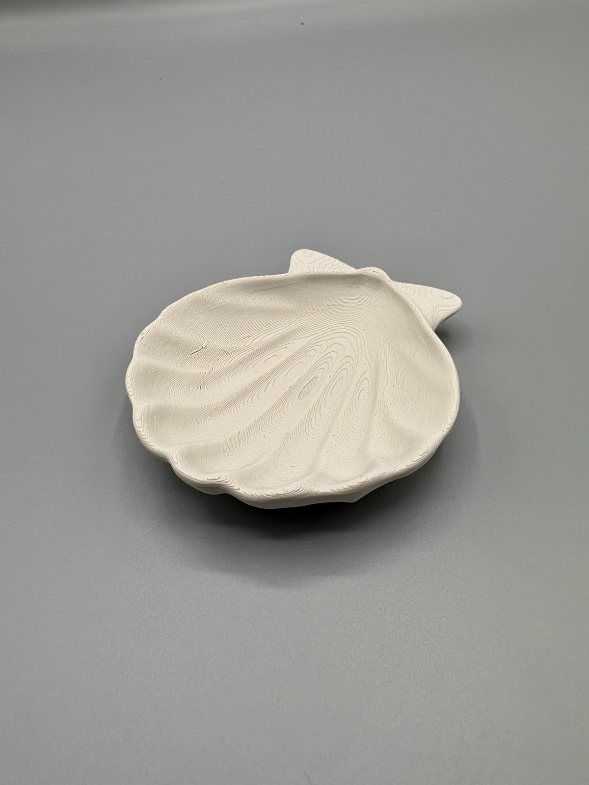 Coastal Shell Jewelry Tray Dish for Rings Bracelet