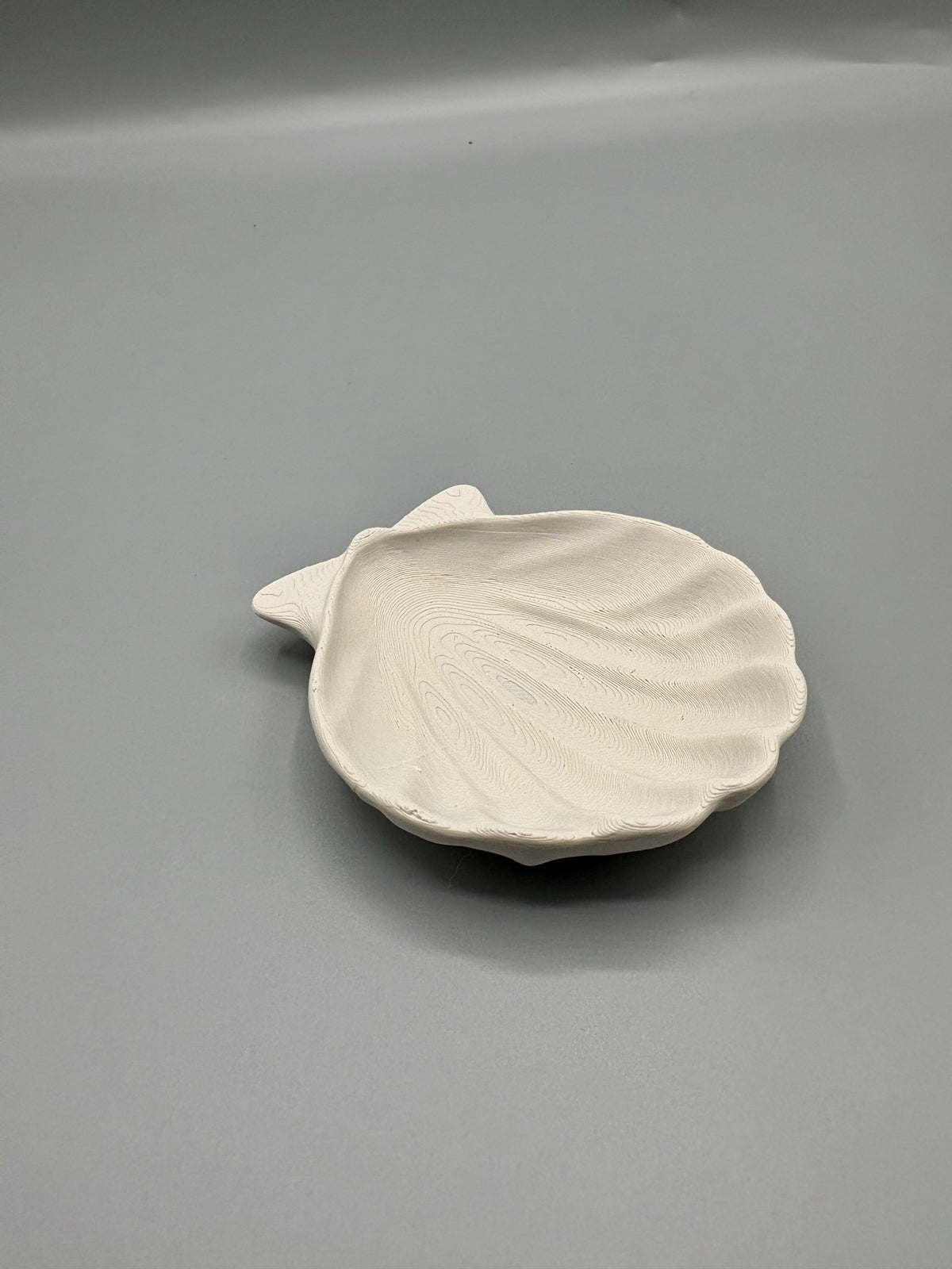 Coastal Shell Jewelry Tray Dish for Rings Bracelet