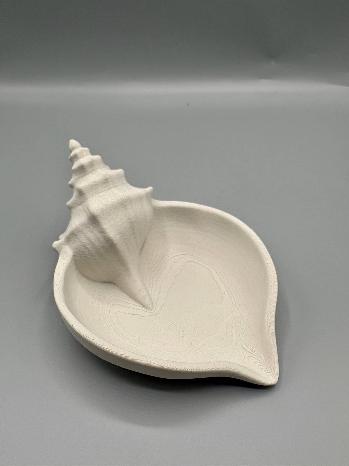 Conch Shell Jewelry Tray