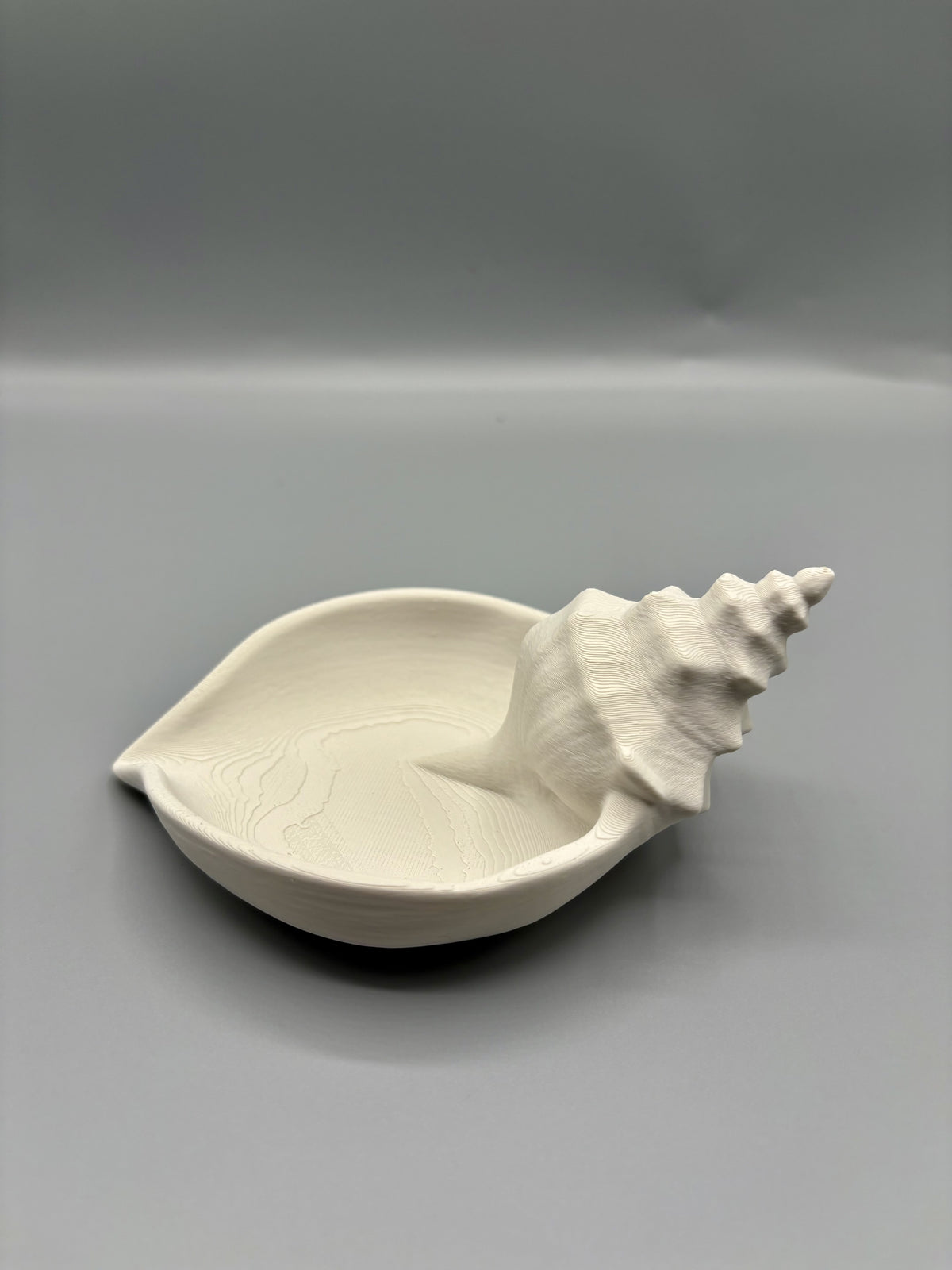 Conch Shell Jewelry Tray
