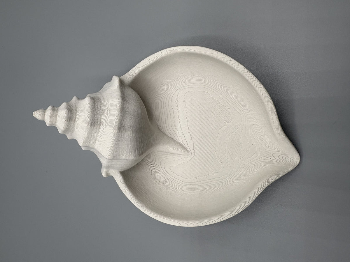 Conch Shell Jewelry Tray