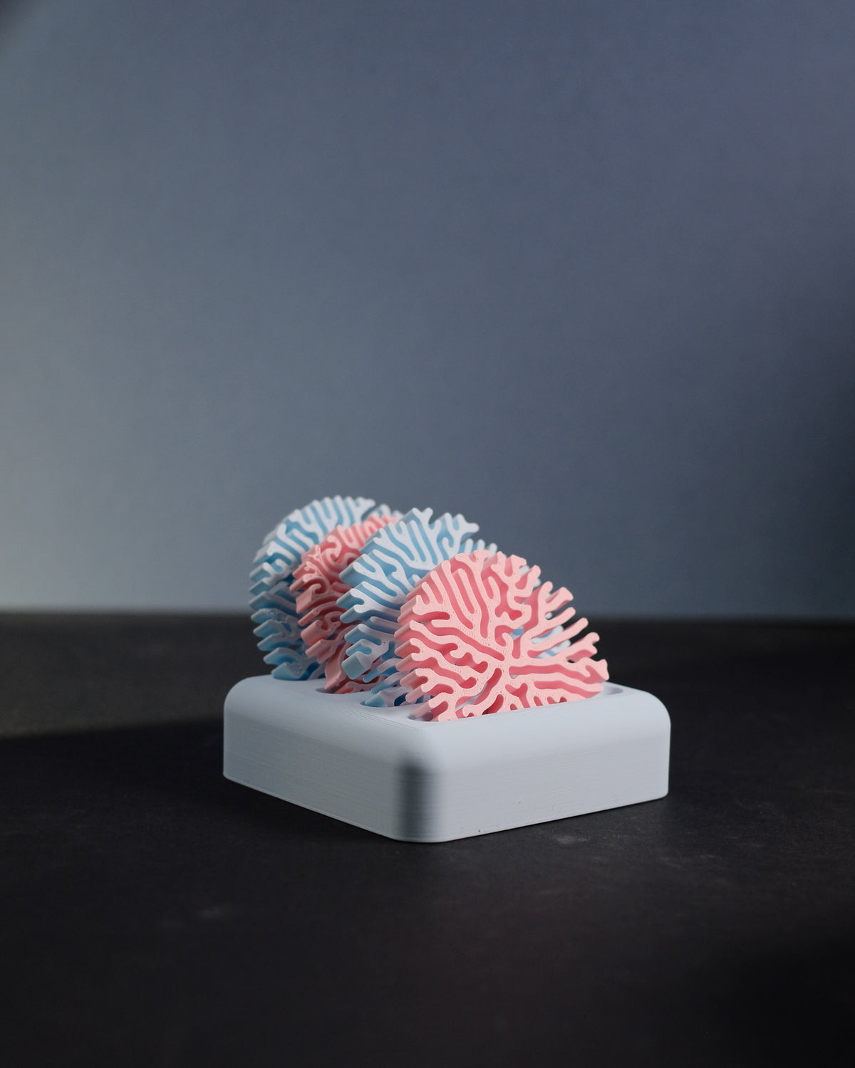 Coral Coasters and Stand