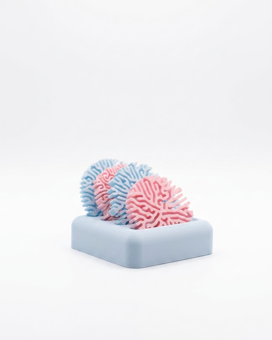 Coral Coasters and Stand