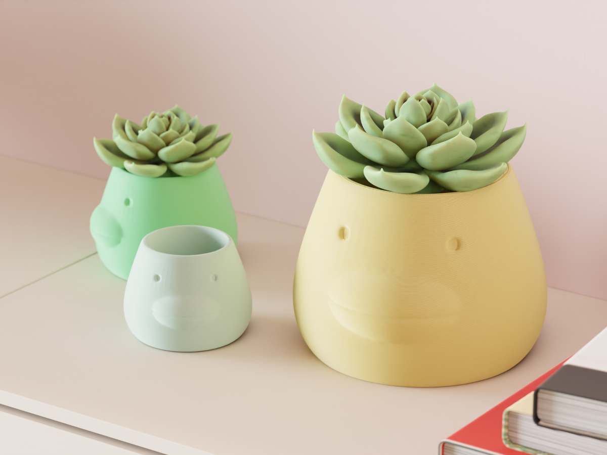 Cute Planter