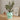 Diamond Aesthetic Planter Plant Pot