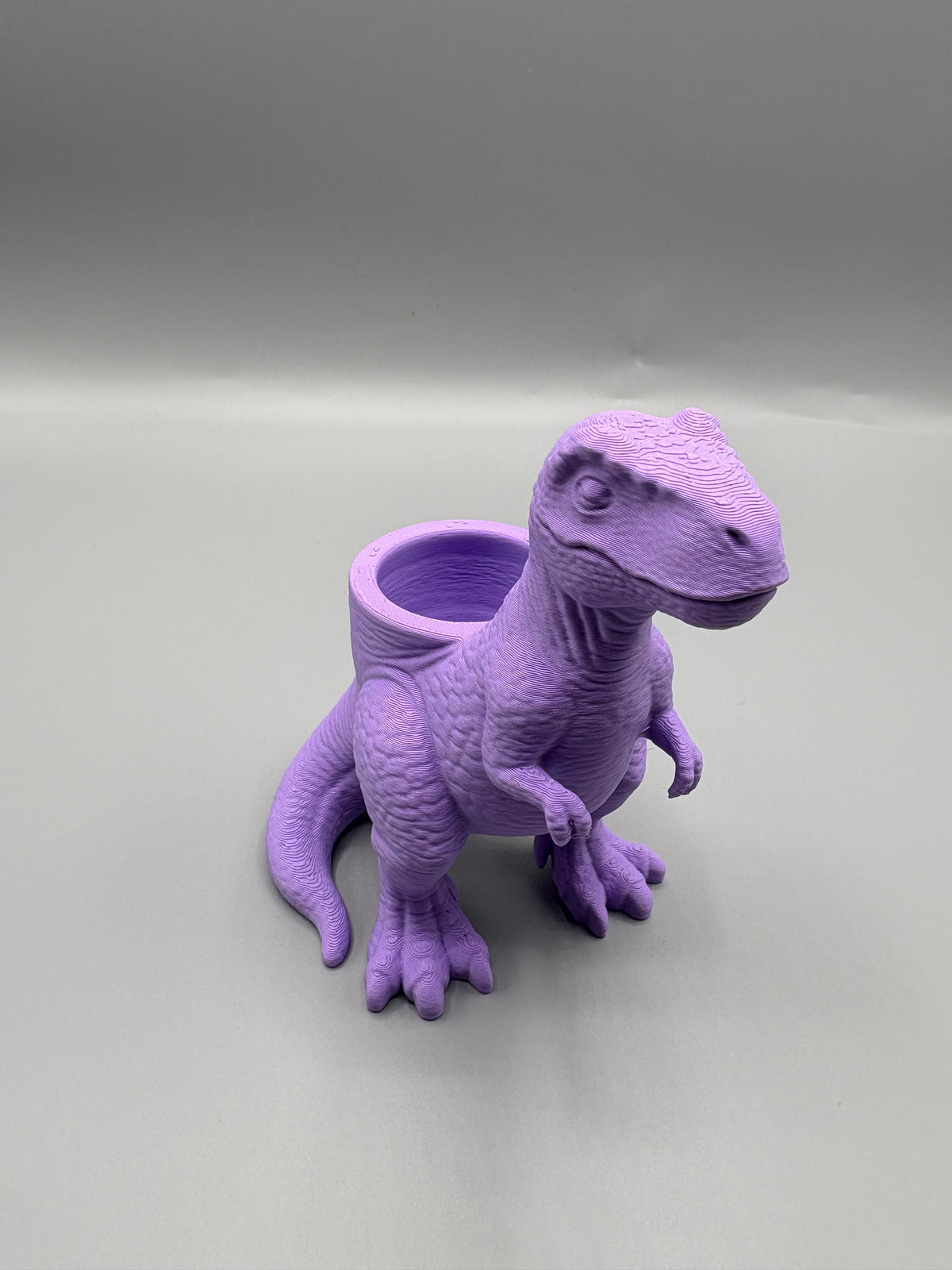 Dinosaur Planter T-Rex Succulent Pot Desk Decor