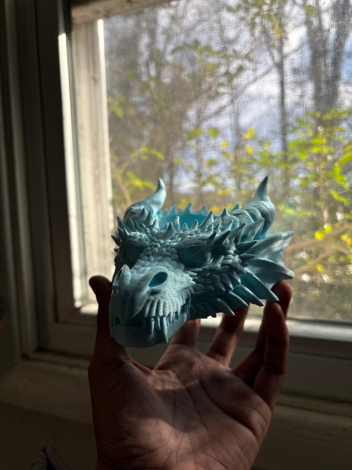 Dragon Head Catchall Tray Desk Entryway Organizer