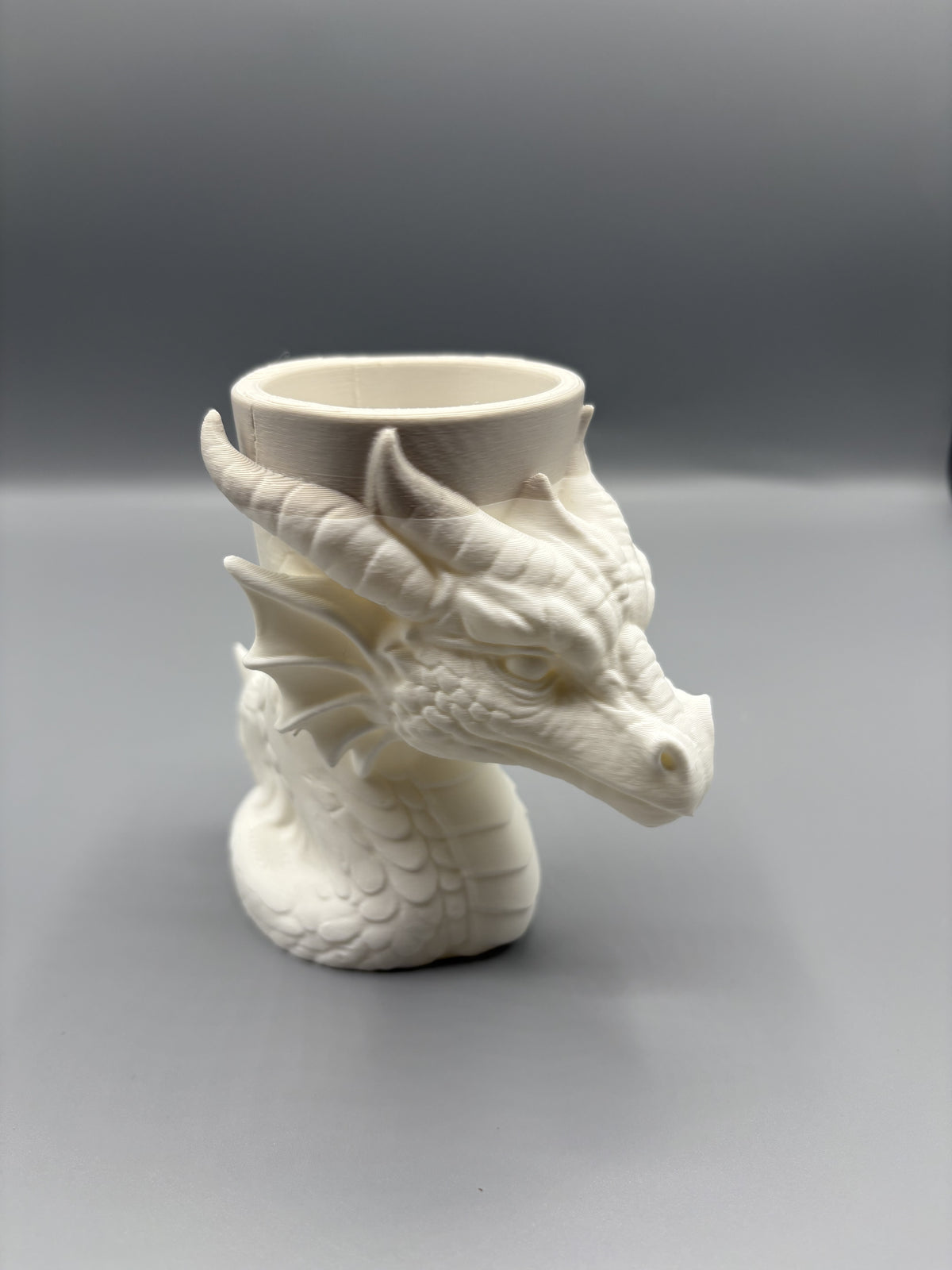 Dragon Head Succulent Planter Fantasy Decor