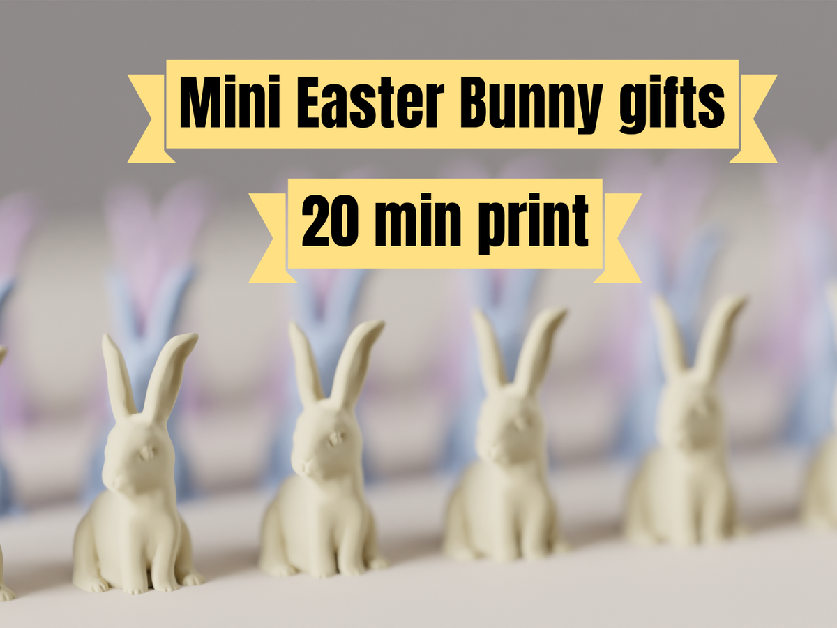 Easter Bunny Rabbit