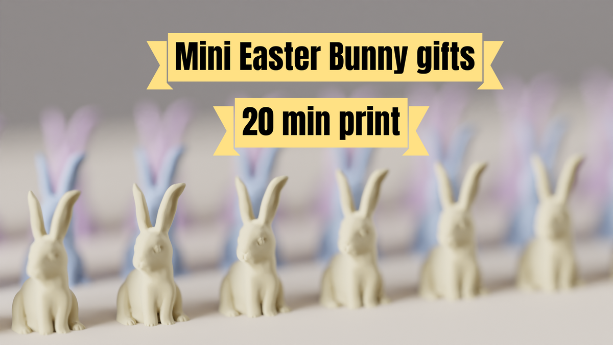 Easter Bunny Rabbit