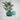 Elegant Patterned Planter