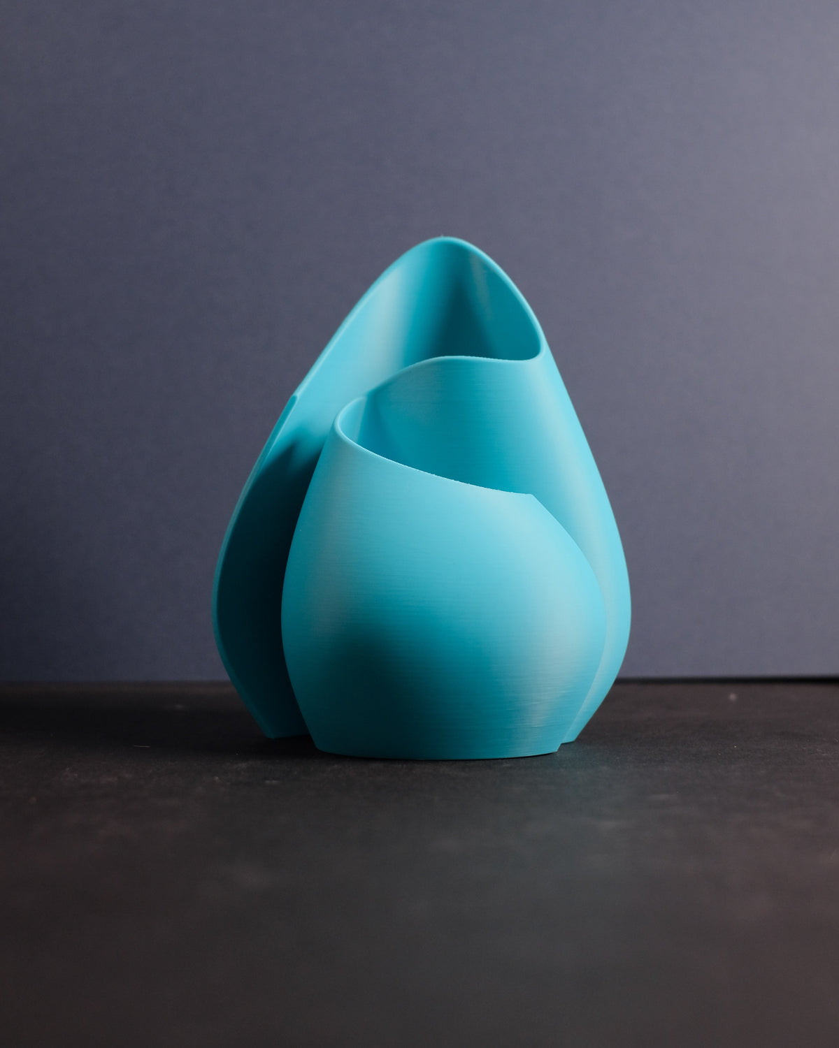 Elegant Single Flowing Vase
