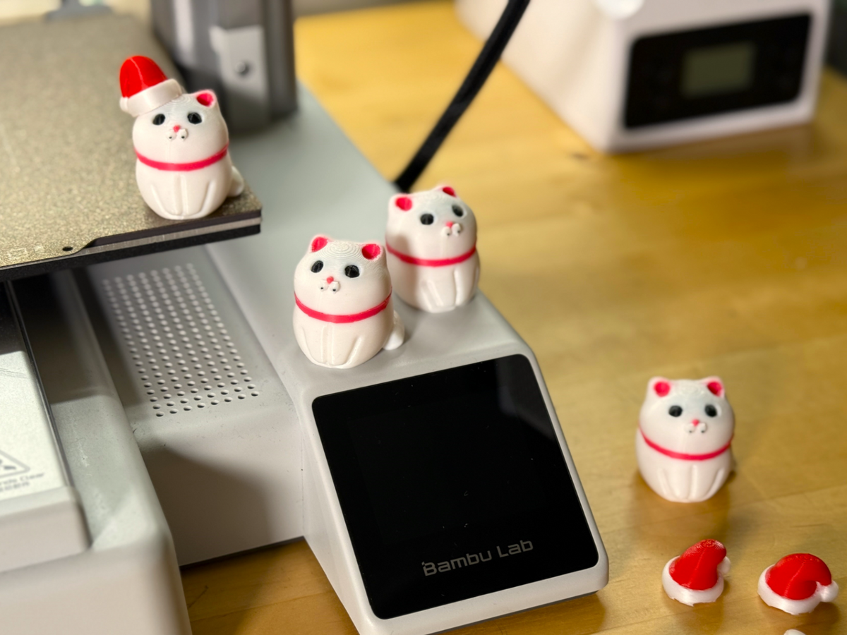Fat Cat with Christmas Hat